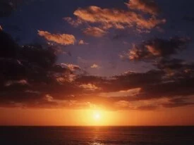 Perfect Ending, New Zealand