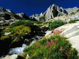 Picture Peak, Sierra Nevada, California - 1600x1.jpg