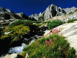 Picture Peak, Sierra Nevada, California - 1600x1.jpg (click to view)