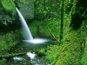 Ponytail Falls, Columbia River Gorge, Oregon - 1.jpg