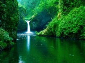 Punch Bowl Falls, Eagle Creek Wilderness Area, C.jpg