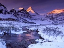 Pure Snow and Alpine Glow, Mount .jpg (click to view)
