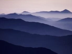 Purple Majesty, Sequoia National Park, Californi.jpg
