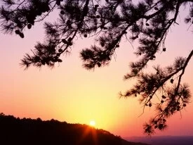Quiet Close, Petit Jean State Park, Arkansas - 1.jpg