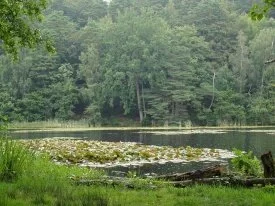 Rain on the lake by Kim