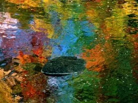 Reflections of Autumn, Maine -  - ID 24.jpg