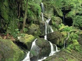 Roaring Fork, Smoky Mountains, Tennessee - 1600x.jpg