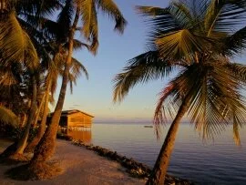 Roatan, Honduras -  - ID 37681 - PREMIU.jpg (click to view)