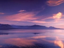 Royal Reflection on Hood Canal, Washington - 160.jpg (click to view)