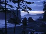 Ruby Beach, Olympic National Park, Washington - .jpg