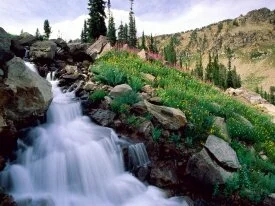 Rushing Waters of Spring, Grand Teton National P.jpg