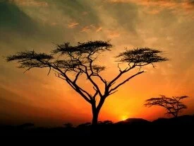 Samburu Hills Sunrise, Samburu Game Reservation,.jpg