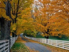 Scenic Backroad, New Hampshire -  - ID .jpg (click to view)