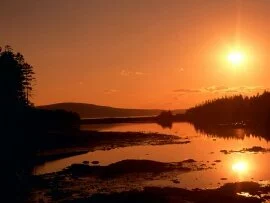 Schoodic Point Seacoast, Maine -  - ID .jpg (click to view)
