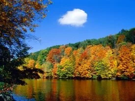 Seasonal Shoreline -  - ID 17496.jpg