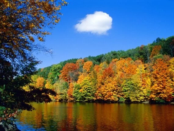 Seasonal Shoreline -  - ID 17496.jpg (click to view)