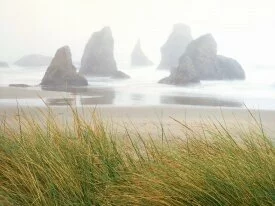 Seastacks in Fog, Bandon, Oregon -  - I.jpg