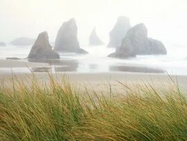Seastacks in Fog, Bandon, Oregon -  - I.jpg (click to view)