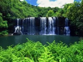 Secluded Falls, Kauai -  - ID 43973.jpg