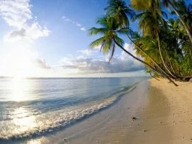 Serenity, Pigeon Point, Tobago -  - ID .jpg (click to view)