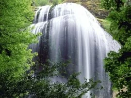 Silver Falls, Oregon -  - ID 31723.jpg (click to view)