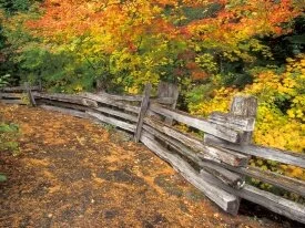 Split-Rail, Mount Rainier National Park, Washing.jpg