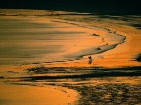 St. Aubins Bay, Jersey, Channel Islands - 1600x1.jpg