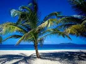 St. Croix, US Virgin Islands -  - ID 42.jpg