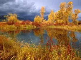 Storm Clouds over Peggy's Pond, Jackson Hole, Wy.jpg