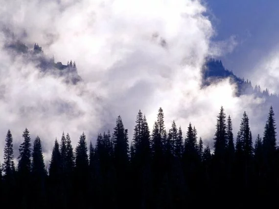 Storm Clouds Swirl, Washington -  - ID .jpg (click to view)