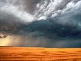 Storm Watch (click to view)