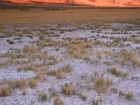 Sunrise Light on Steens Mountain from Alvord Des.jpg