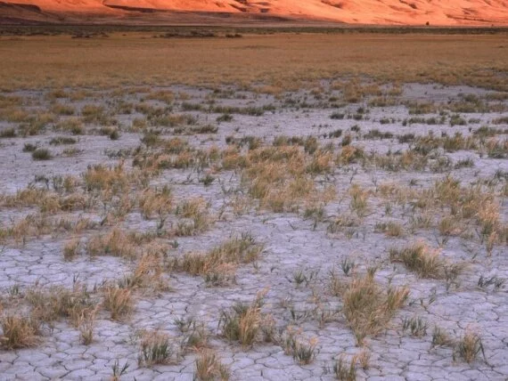 Sunrise Light on Steens Mountain from Alvord Des.jpg (click to view)