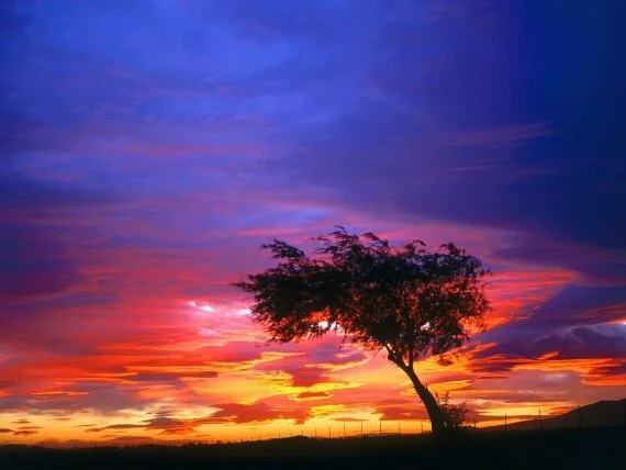 Sunrise, Palmdale, California -  - ID 3.jpg (click to view)