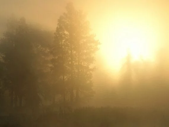 Sunrise through the Sapphire Mountains, Montana .jpg (click to view)