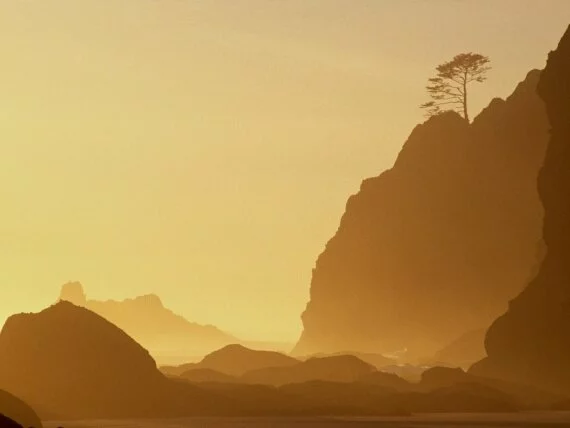 Sunset at the Point of the Arches, Olympic Natio.jpg (click to view)