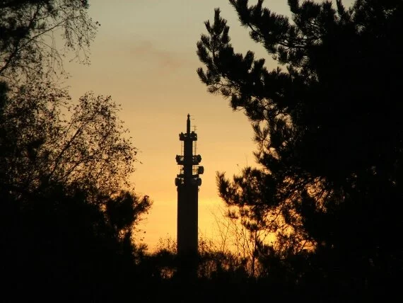 sunset cannock chase staffordshire.JPG (click to view)