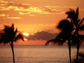 Sunset in the Tropics, Maui -  - ID 261.jpg