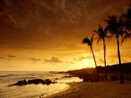 Sunset, Kauai, Hawaii -  - ID 15768 - P.jpg (click to view)