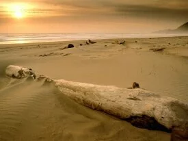 Sunset over Driftwood, Nehalem Bay State Park, O.jpg