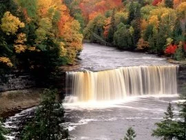 Tahquamenon Falls, Michigan -  - ID 267.jpg (click to view)