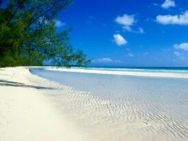 Taino Beach, Bahamas -  - ID 40273.jpg
