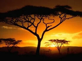 Tanzanian Sunset -  - ID 36728.jpg