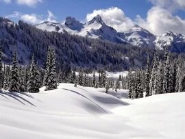 Tatoosh Range, Mount Rainier, Was.jpg (click to view)