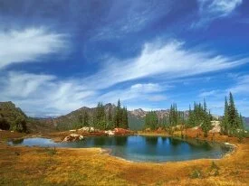 The Axis of Serenity, Mount Rainier National Par.jpg