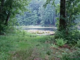 The lake (click to view)