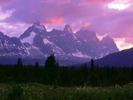 The Ramparts, Canadian Rockies -  - ID .jpg