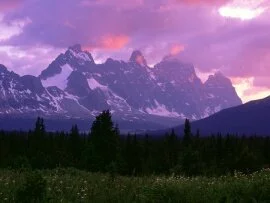 The Ramparts, Canadian Rockies -  - ID .jpg (click to view)