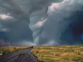 The Road to Destruction -  - ID 38844.jpg (click to view)