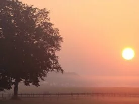 The sun very foggy morning 1080p